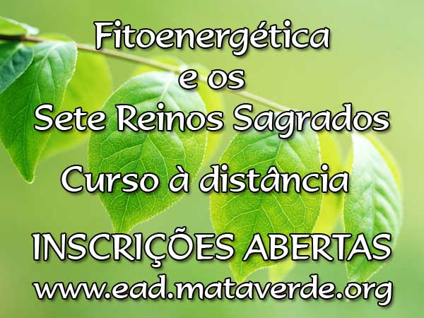 Curso à Distância : Fitoenergética e os Sete Reinos Sagrados