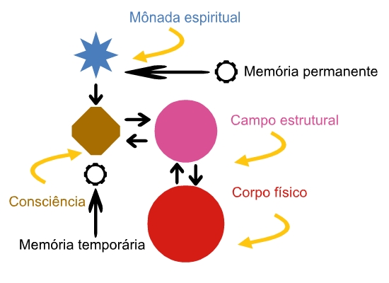 consciencia