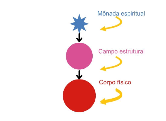 estrutura da materia